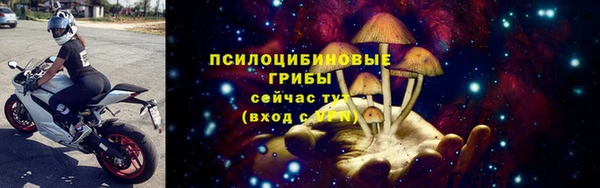 Альфа ПВП Арсеньев