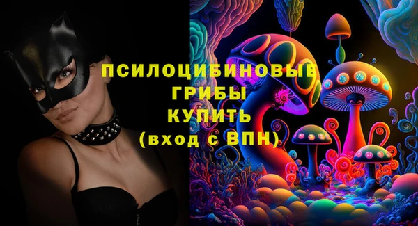 Альфа ПВП Арсеньев