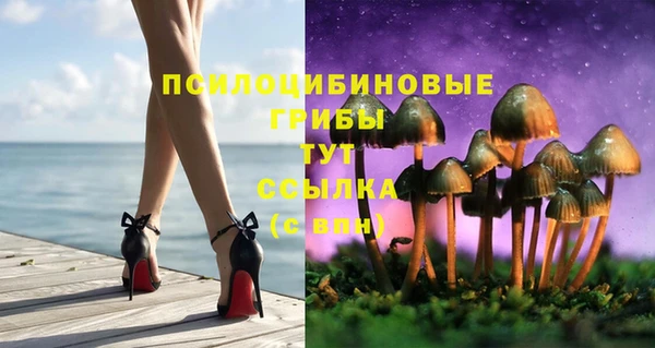 mdpv Балахна