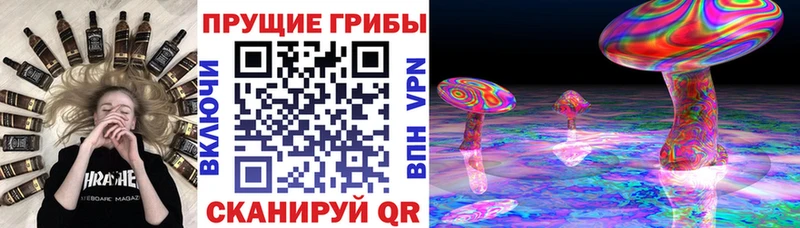 наркошоп  Сортавала  Галлюциногенные грибы прущие грибы 
